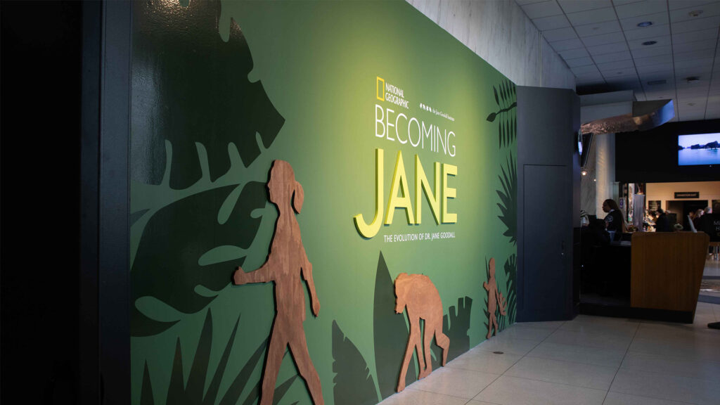 National Geographic Museum Jane Goodall exhibition