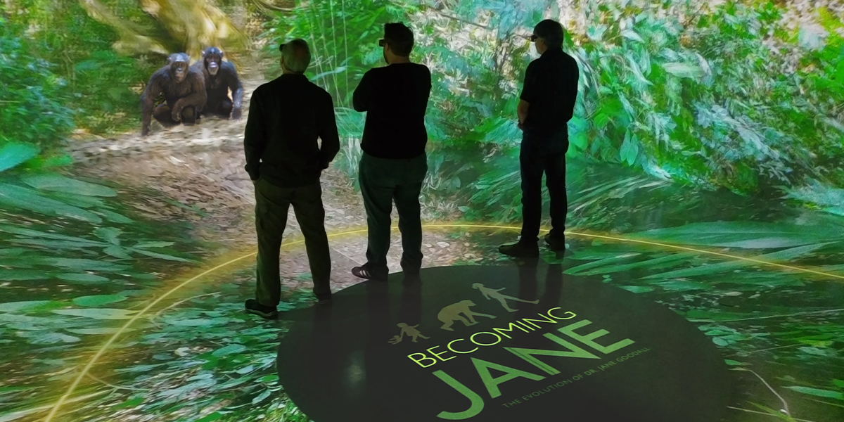 Jane - Awards