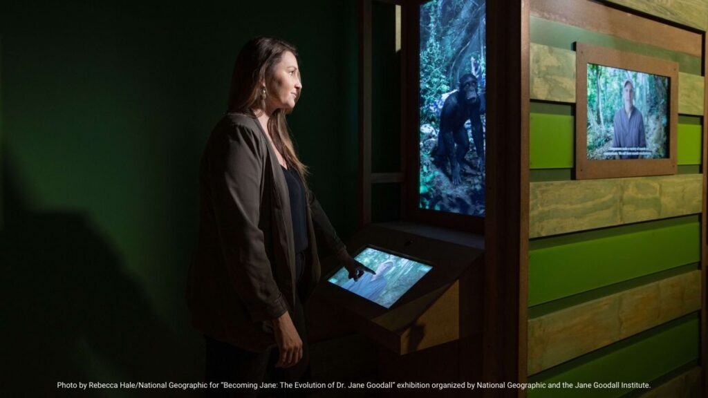 Chimp Chat at Dr. Jane Goodall museum exhibit