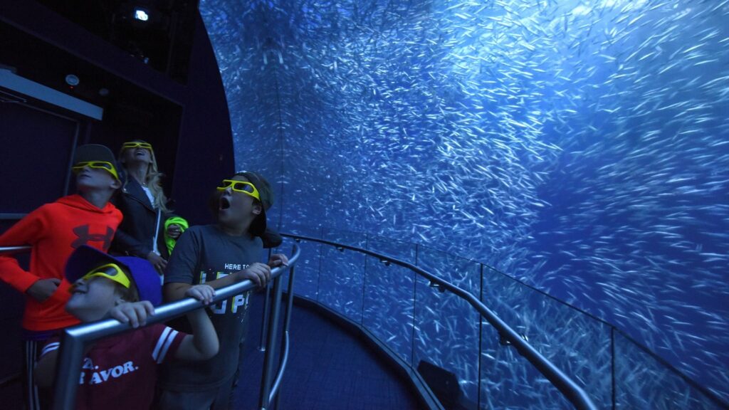 Virtual Aquarium Experience
