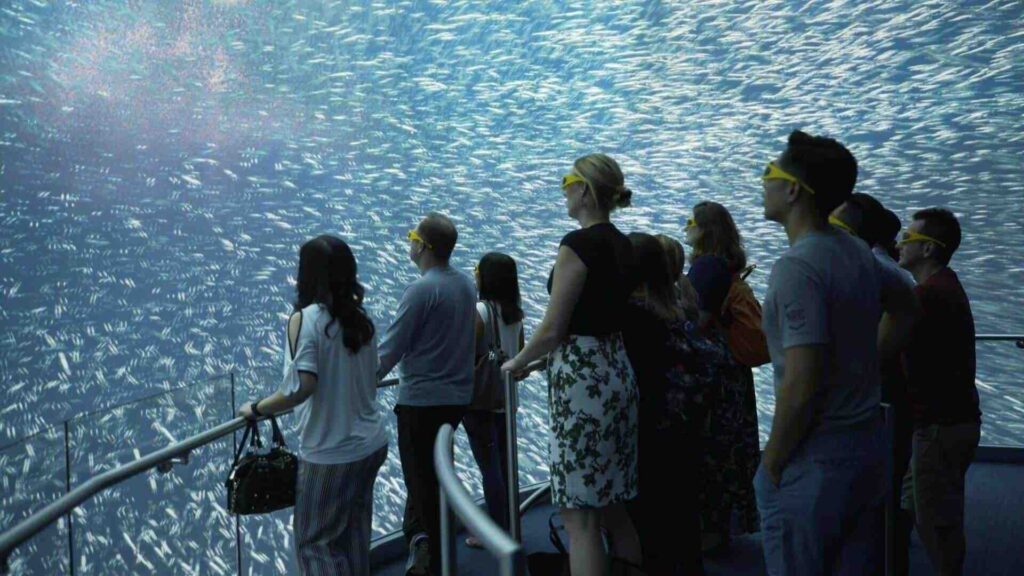 Virtual Aquarium at National Geographic Encounter Ocean Odyssey