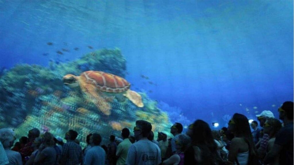 Turtle Trek at SeaWorld Orlando