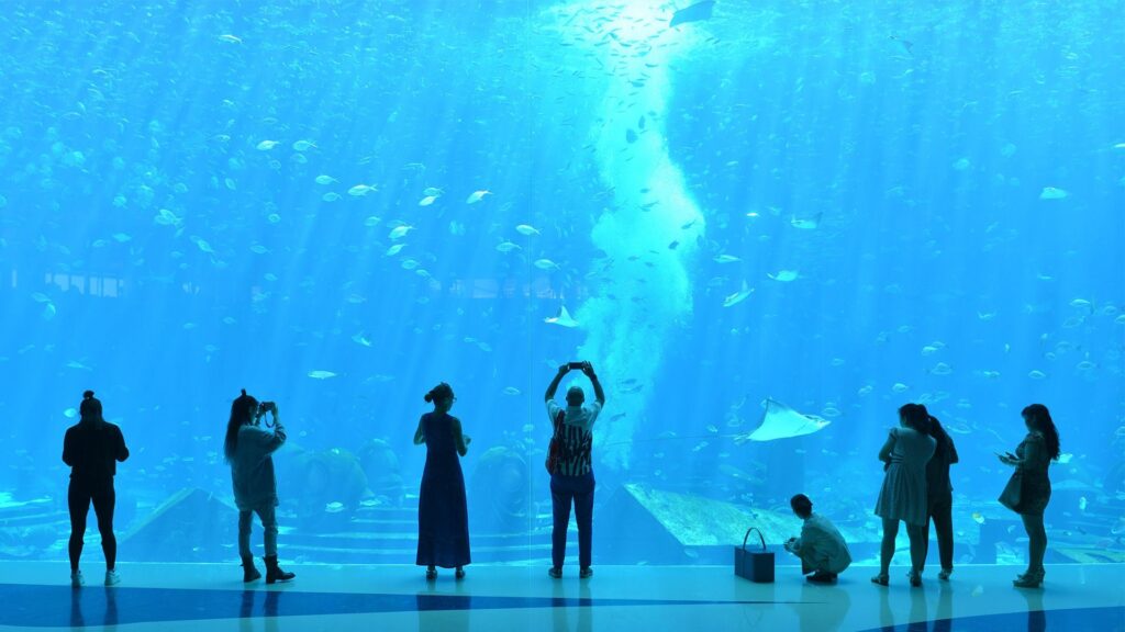 Atlantis Sanya Lost Chambers aquarium